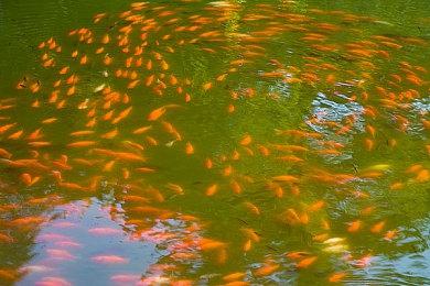 《死者桑拿》开启众筹 魔界桑拿师题材动作RPG