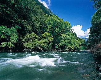 《电锯甜心：重制版》将加入“未和谐”版本服装