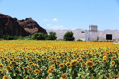 《女神异闻录3：Reload》“埃癸斯篇”新预告 添加五代主角“Joker”Boss战